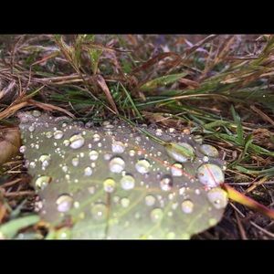 Meet your Posher, Karleigh